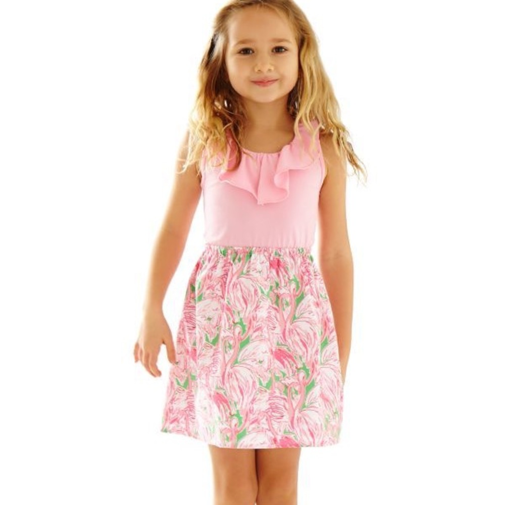 Lilly Pulitzer Pink Colony Loranne Dress Sz XL